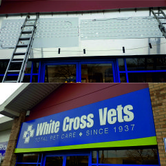 White Cross Vets - Northampton