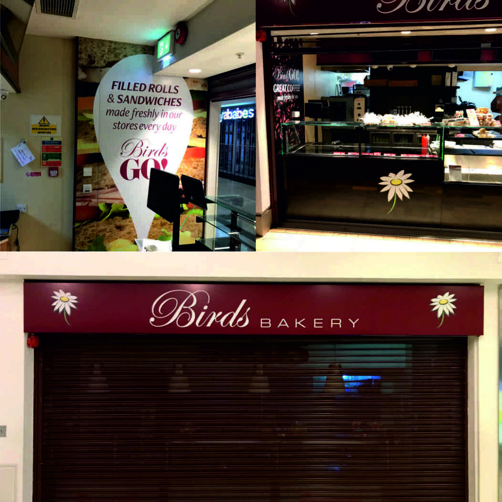 Birds - Intu